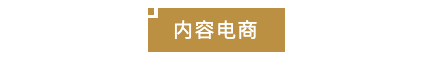 内容电商.png